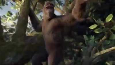 PROOF that primates were destined to listen to Piper from the very start