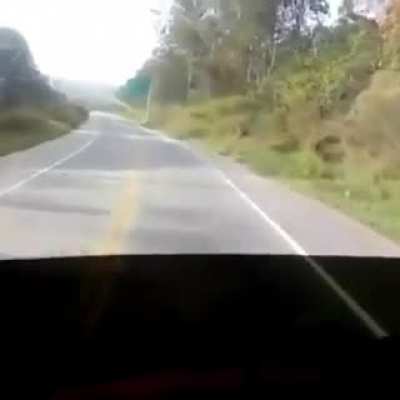 Que sortudo!