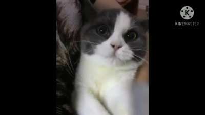 Give me your soul &amp;gt;:(
