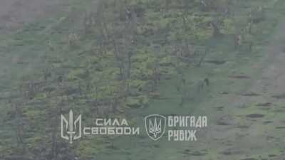 4th battalion "Force of Freedom" of the 4th brigade of NSU "Rubizh" defending against Russian assaults in Spirne, Donetsk [21.08.24]