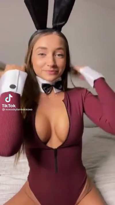 Bunny