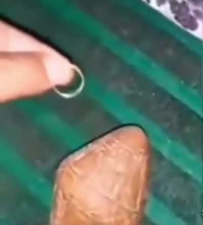 Professor Sakharov would love to get his hands on this artifact
