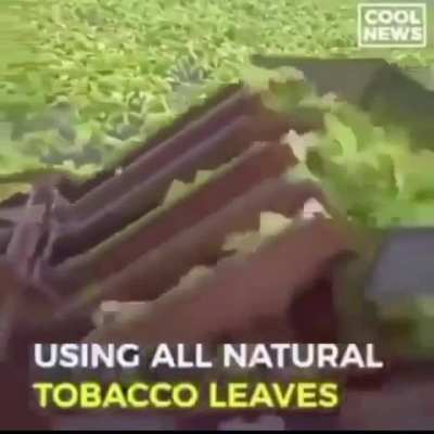 I&rsquo;m investing in this