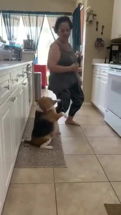 Fofo