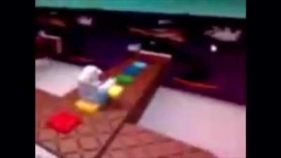 Roblox