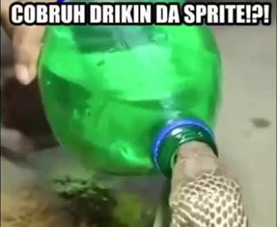 He do be rehydrating tho 😳