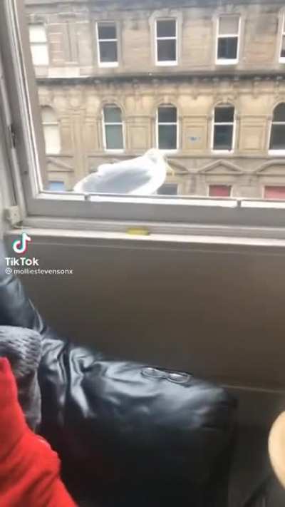 He&rsquo;s had enough