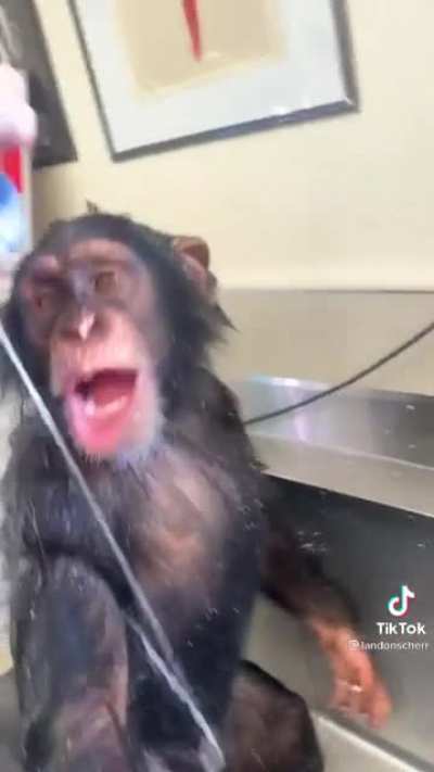 monke