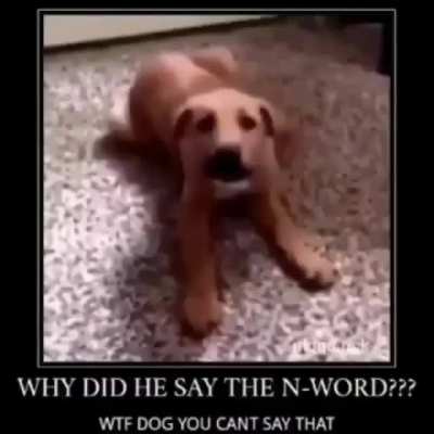 &Ntilde;ooooo