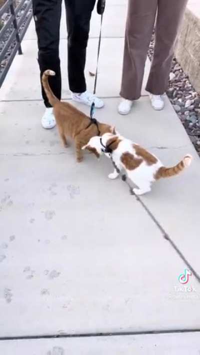 Two friends reunited. Some bonds are forever.