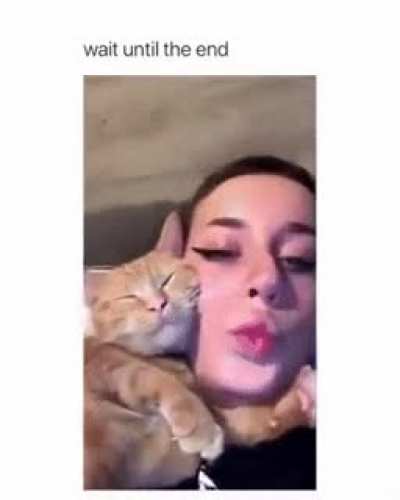 Aw- nevermind