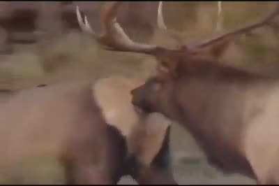 Damn, poor boy is horny