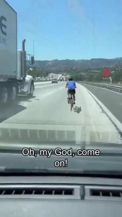 What do you think of this fine piece of "comedy"?