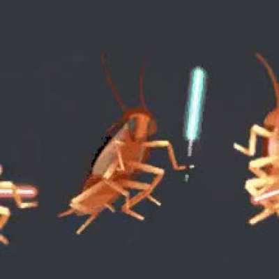He clash with enemy