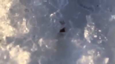 shooting a bullet on ice