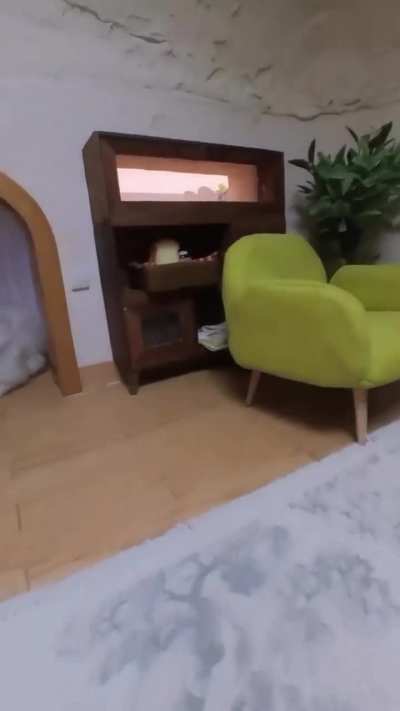 Rent $3500/month