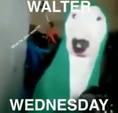 happy Walter Wednesday