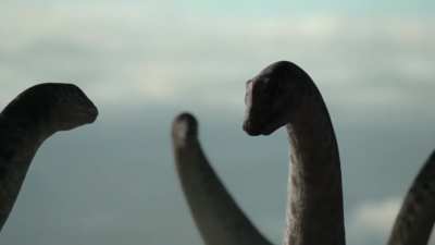 Prehistoric Planet did it's job reminding that large herbivores are easily some the most intolerant/dangerous animals in nature, with no better representation than the one who "Fears Nothing".