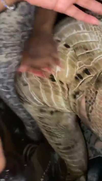 Shaking that Ass
