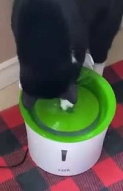 &ldquo;It&rsquo;s only water&rdquo;