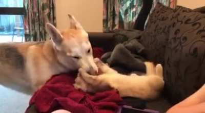 Ava and Finn - the friendship continues