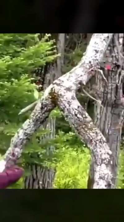 Nature keeps testing us mortals.