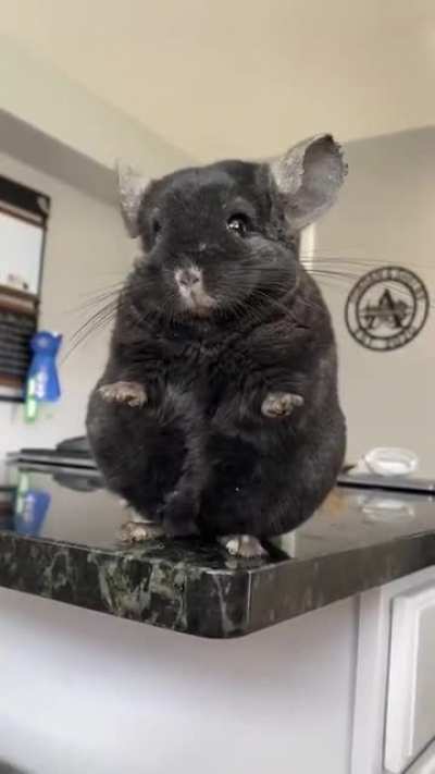 chilla