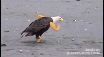 America&hellip; Fuck yeah.