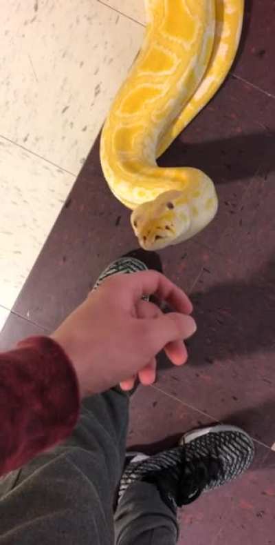 🦧