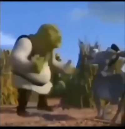 sherk zoio