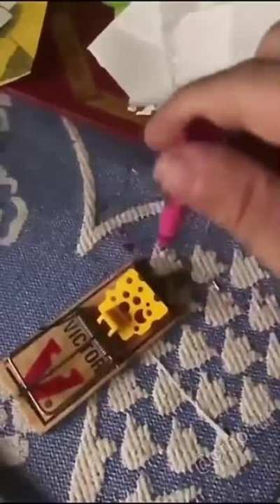 Just gonna test out this mouse trap real quick