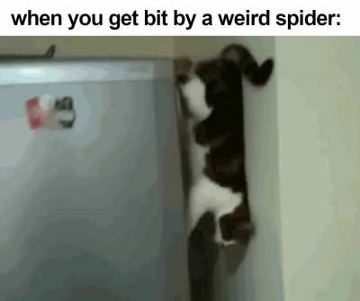 spidey senses detect food