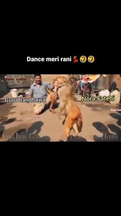 Dark meme
