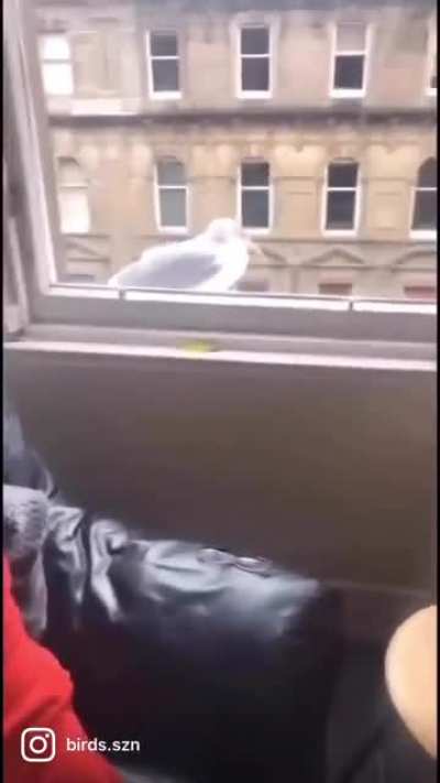 .....and he was never seen again