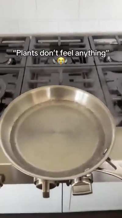 Ow