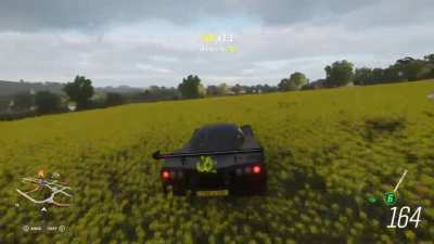 I hit a sheep