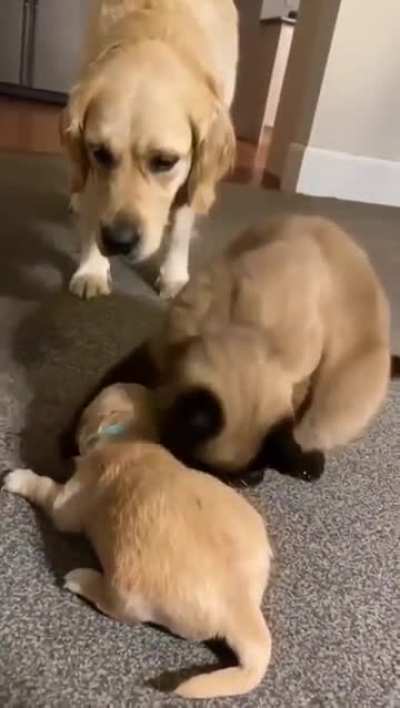 "He's my baby now!"