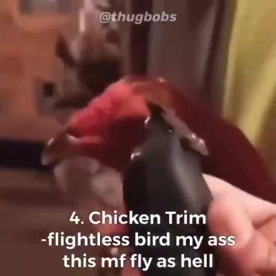 only the best