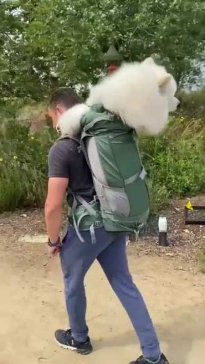 Going for a hike