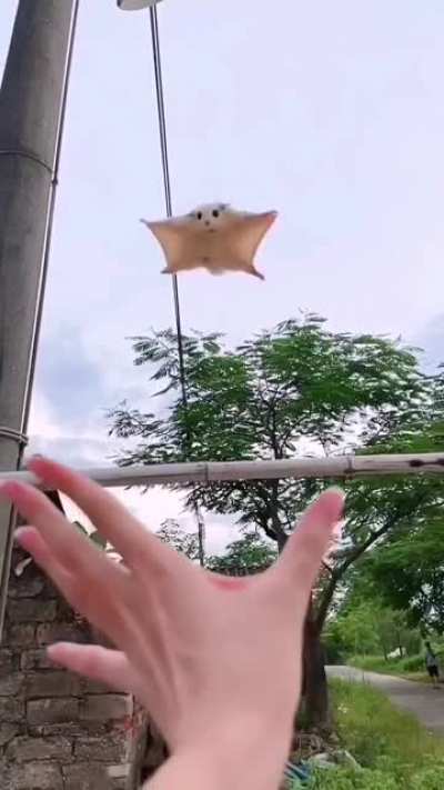 Cute trust!