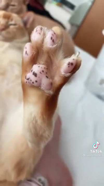 I don&rsquo;t think I&rsquo;ve ever seen totally freckled toebeans.