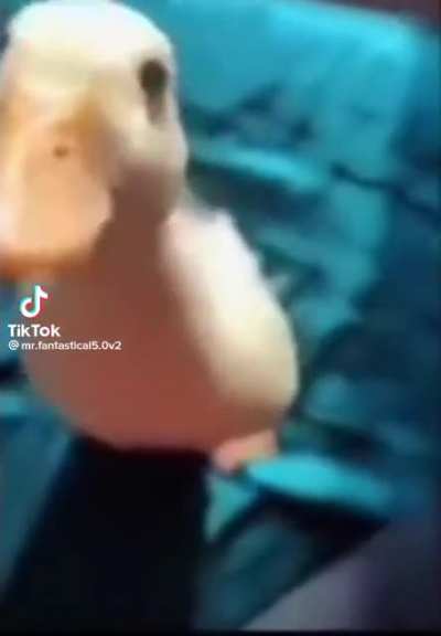 ele estava feliz