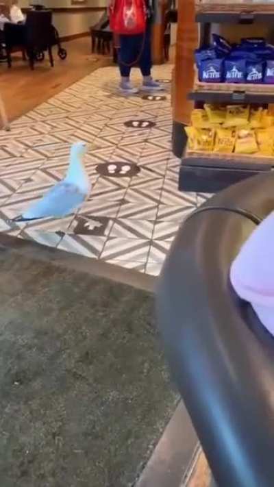 He knows it's wrong