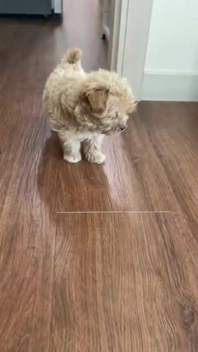 You don&rsquo;t have a snack for me? I&rsquo;ll be leaving then.