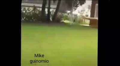 Guinomio