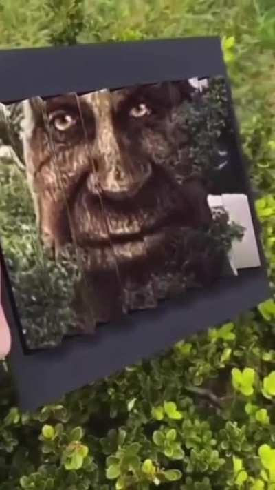 🌳