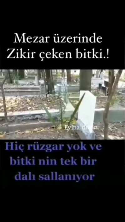 S&Uuml;PHANALLAH 😳😨😱
