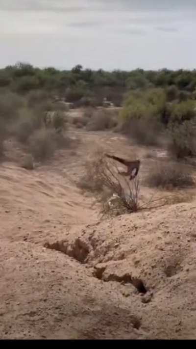 HMFT after I try to do a bike trick
