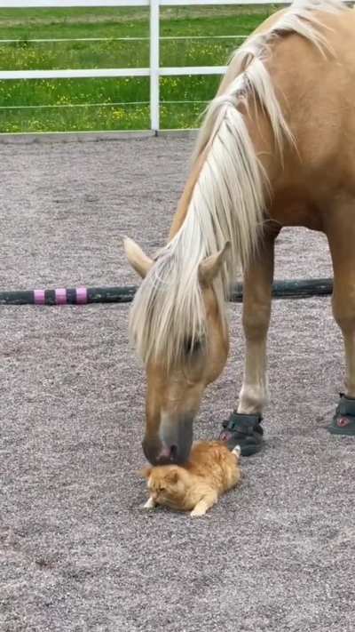 "Oh yeah right there, that's the spot"..