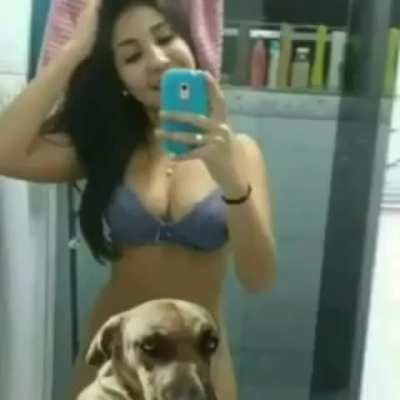 Qui qui